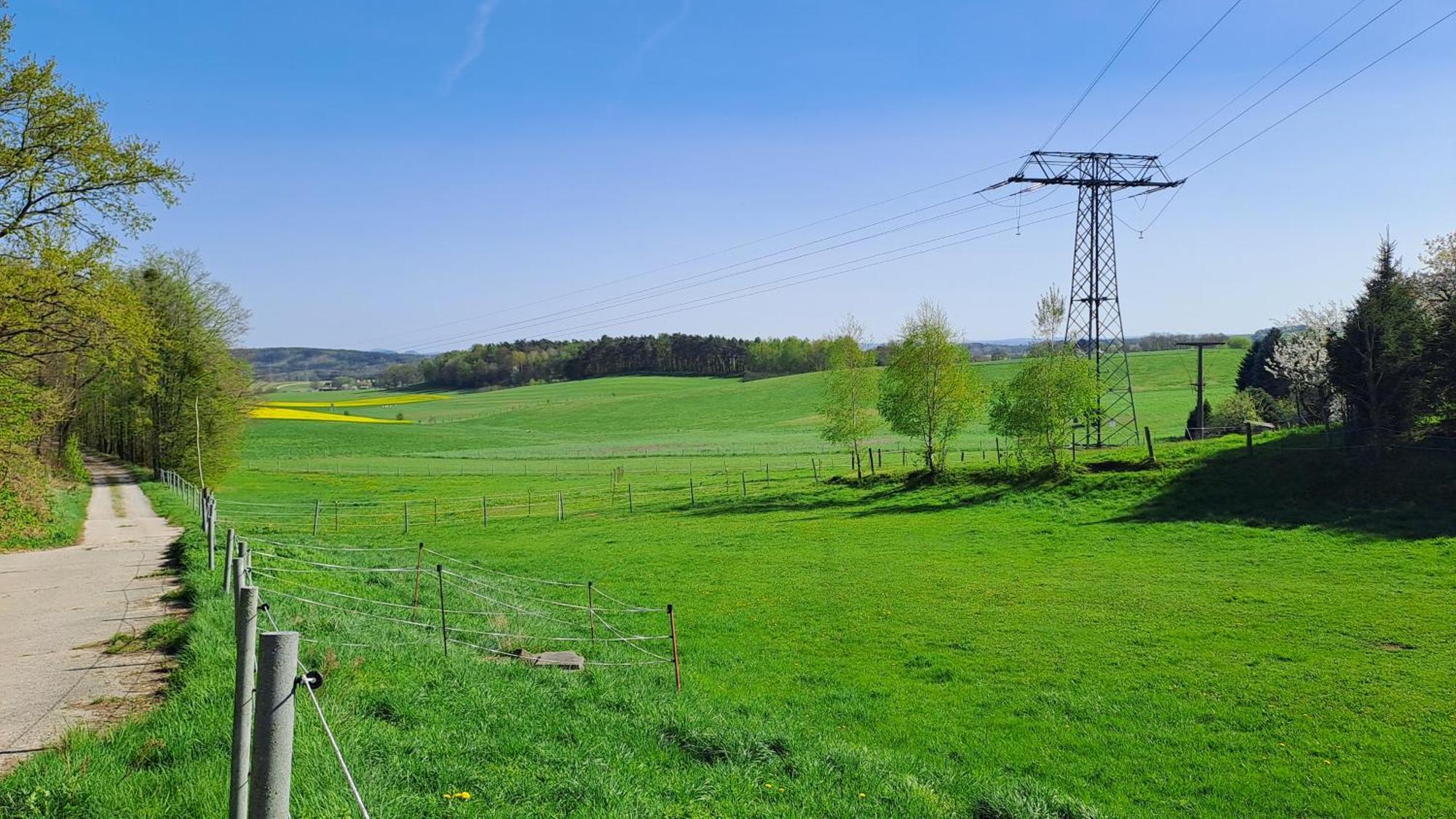Ferienhaus „Zum Alten Froehlich“ Dresden Eksteriør billede